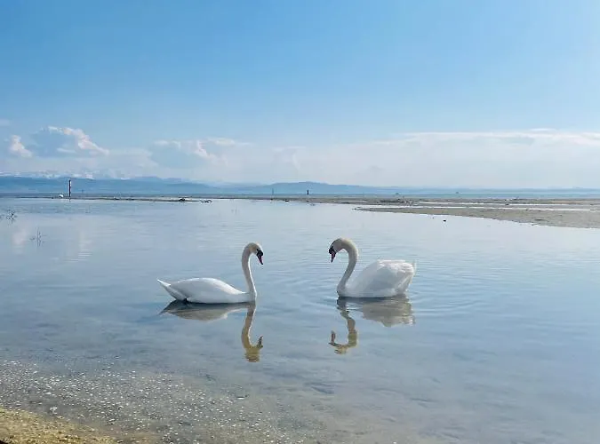 Sunshine am See